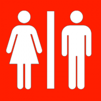 toilet toilet